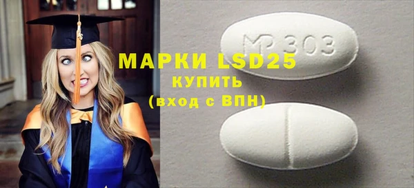 PSILOCYBIN Алзамай