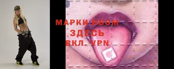 PSILOCYBIN Алзамай