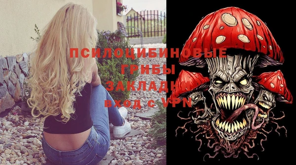 ГАЛЛЮЦИНОГЕННЫЕ ГРИБЫ Алексеевка