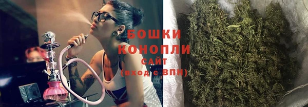 ГАЛЛЮЦИНОГЕННЫЕ ГРИБЫ Алексеевка