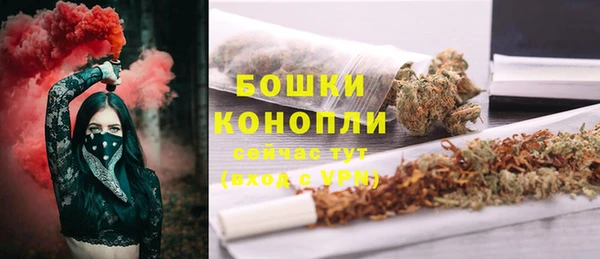 PSILOCYBIN Алзамай