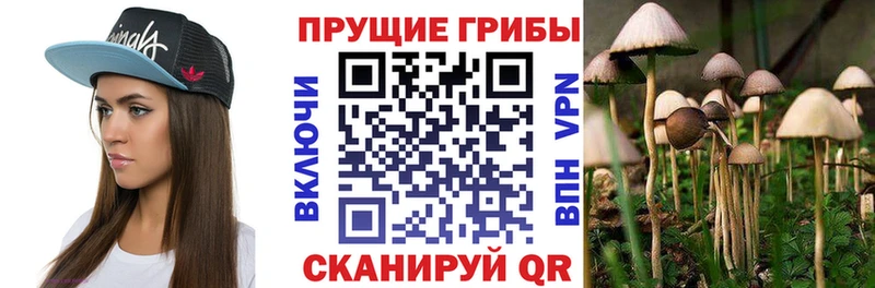 Галлюциногенные грибы GOLDEN TEACHER  наркотики  Андреаполь 