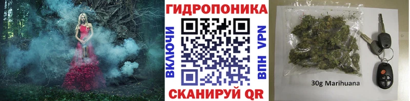 Каннабис ГИДРОПОН  Андреаполь 